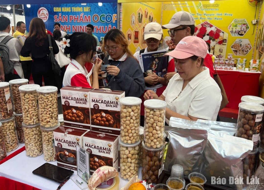 Phê duyệt kế hoạch lựa chọn nhà thầu dự toán mua sắm: Tổ chức Hội chợ Công Thương và sản phẩm OCOP - Đắk Lắk năm 2024