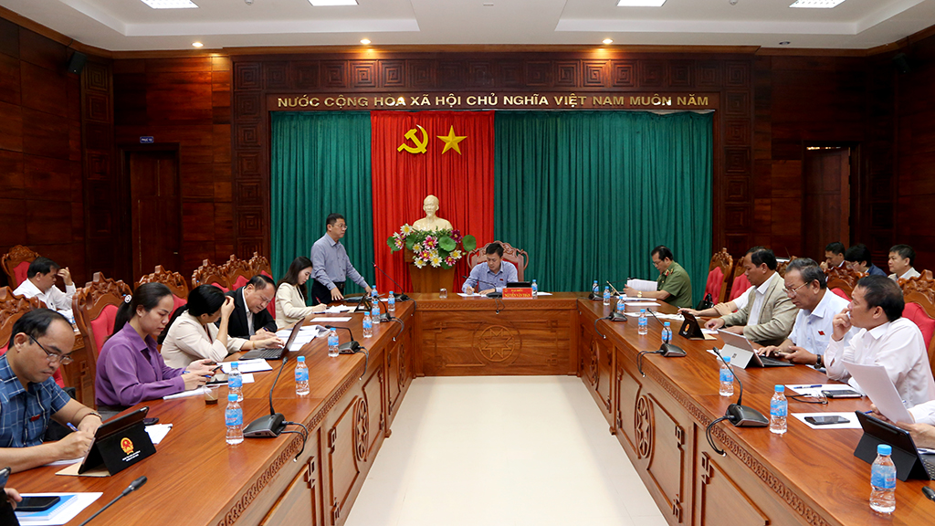 Kỳ họp thứ Chín, HĐND tỉnh Đắk Lắk khóa X: Thảo luận tổ về cơ sở pháp lý, động lực cho tăng trưởng kinh tế -xã hội năm 2025