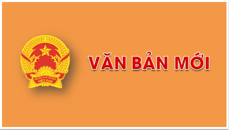 Triển khai các Thông tư của Bộ trưởng BộThông tin và Truyền thông