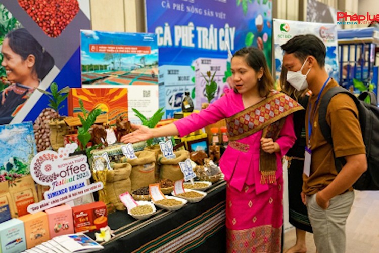 Kế hoạch tổ chức Hội trại cà phê tại Lễ hội Cà phê Buôn Ma Thuột lần thứ 9 năm 2025