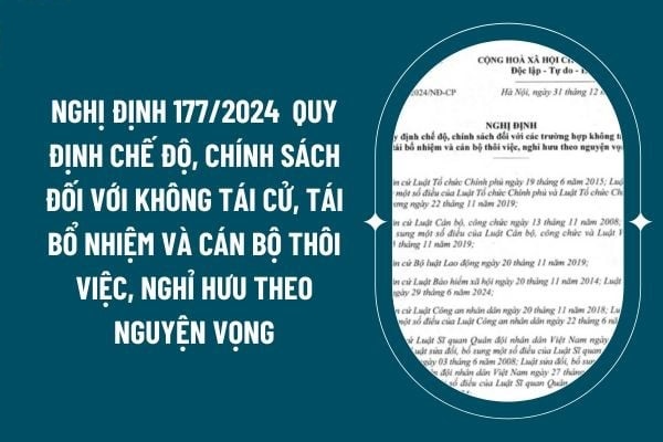 Kế hoạch về việc triển khai thực hiện chế độ, chính sách đối với các trường hợp không tái cử, tái bổ nhiệm và cán bộ thôi việc, nghỉ hưu theo nguyện vọng theo Nghị định số 177/2024/NĐ-CP ngày 31/12/2024 của Chính phủ