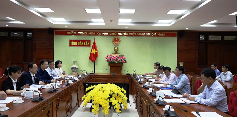 Tập trung hỗ trợ  4 dự án điện gió tại huyện Krông Búk sớm đi vào hoạt động