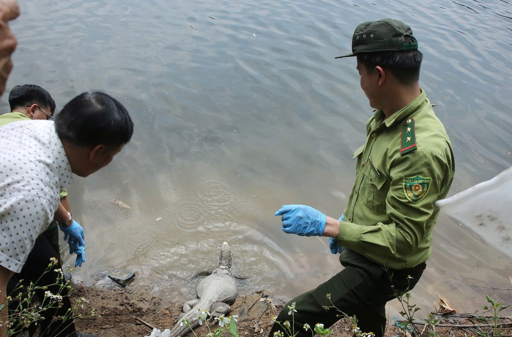 Tiến hành thả 42 cá thể động vật hoang dã quý hiếm về với tự nhiên
