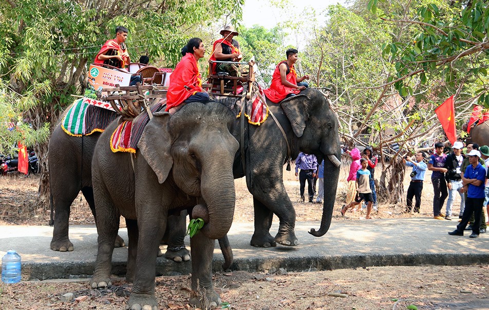 The Buon Don Elephant Festival: A Distinctive Highlight at the 9th Buon Ma Thuot Coffee Festival.
