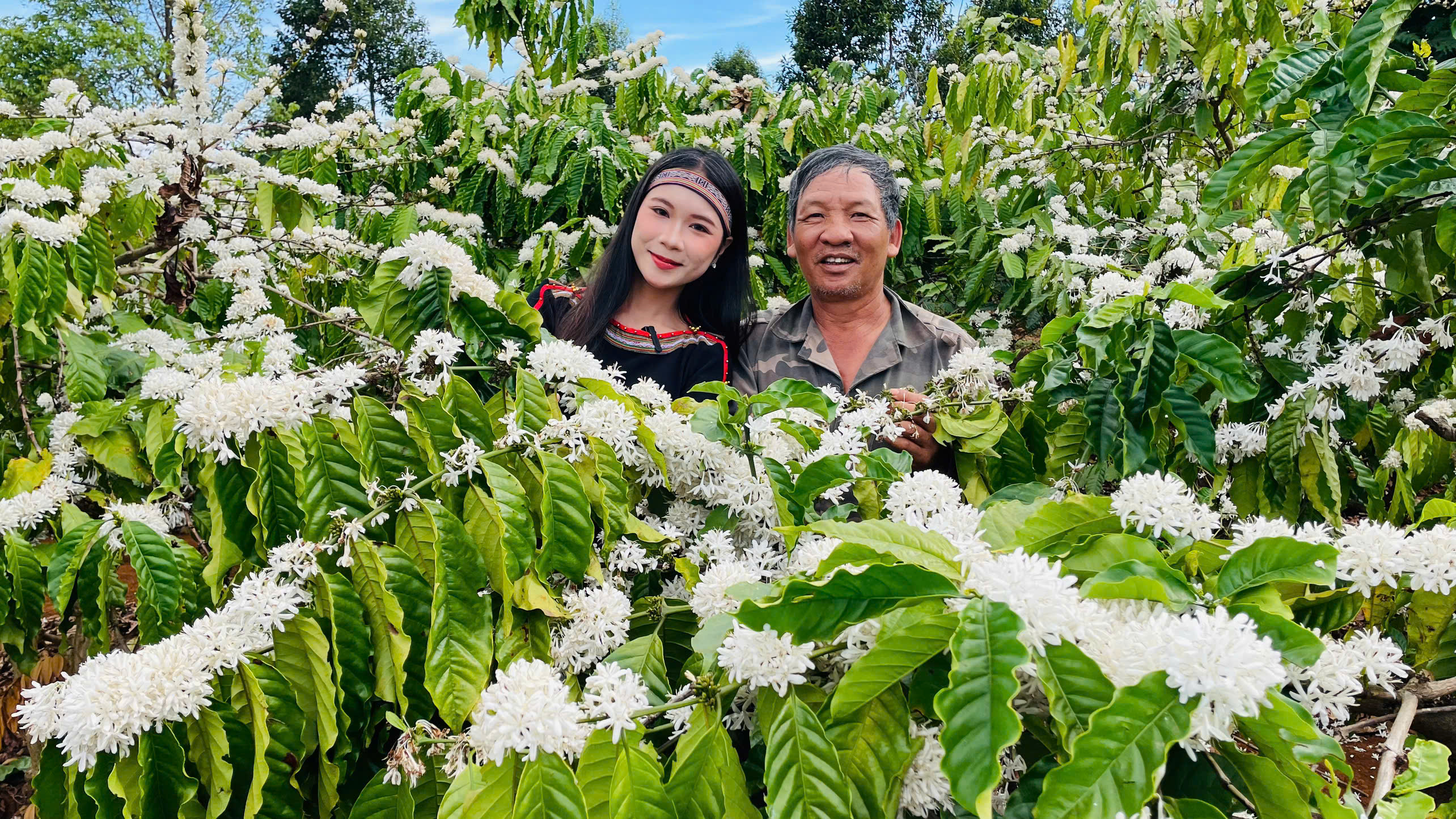 Điểm nhấn trong hành trình du lịch tại Lễ hội Cà Phê Buôn Ma Thuột lần thứ 9 năm 2025