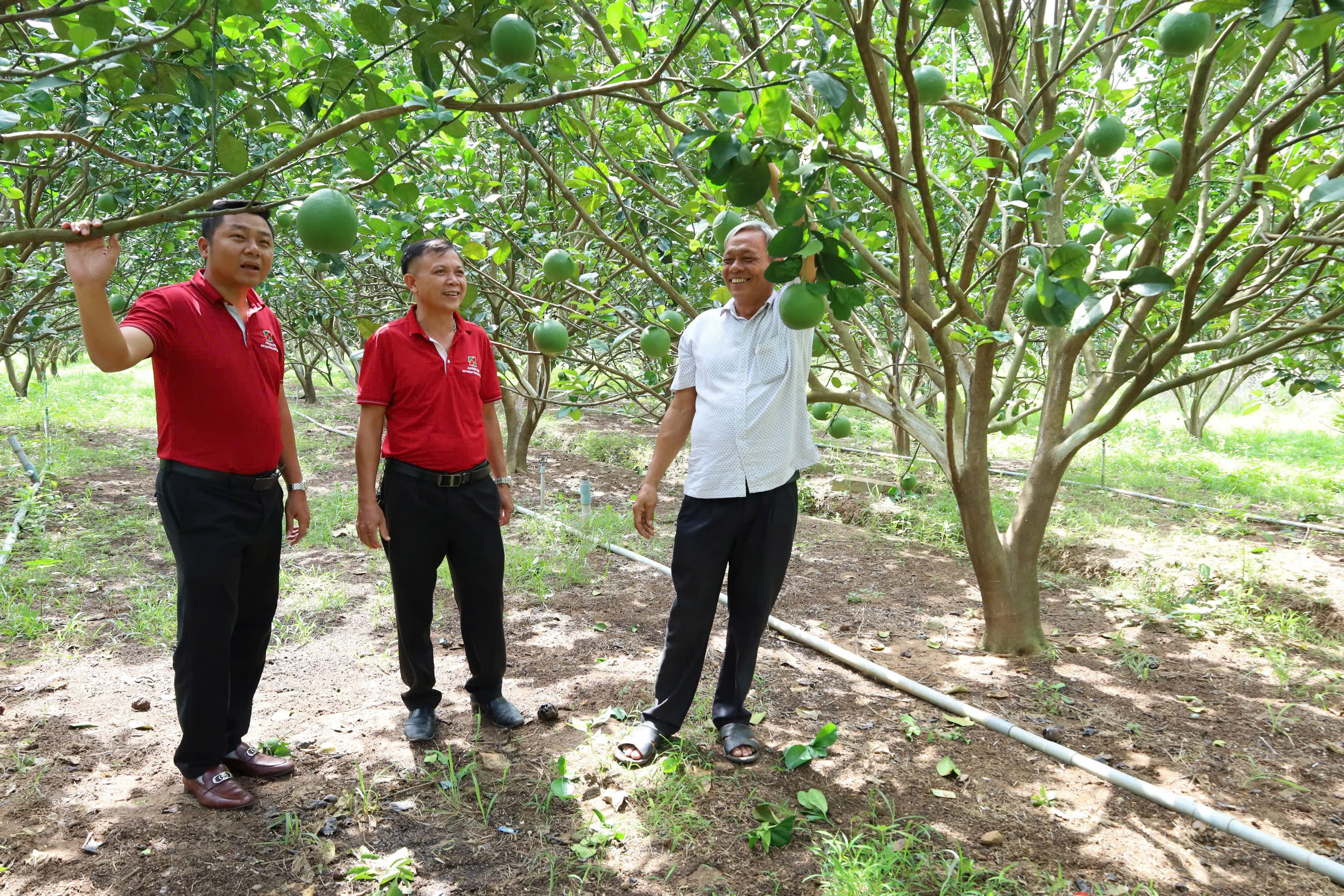 Agribank tập trung nâng cao chất lượng tín dụng và dịch vụ hỗ trợ doanh nghiệp