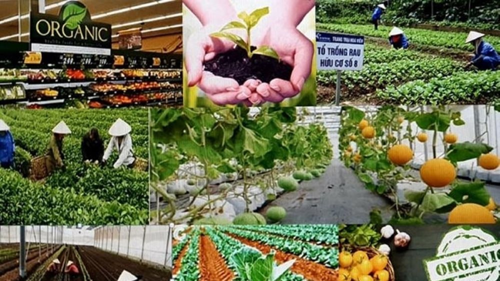 Triển khai Nghị định số 156/2025/NĐ-CP ngày 16/6/2025 của Chính phủ