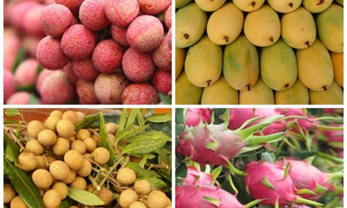 Triển khai thực hiện Công điện số 79/CĐ-TTg ngày 31/5/2025 của Thủ tướng Chính phủ.