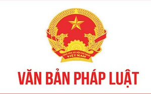 Triển khai thực hiện khoản 20 Điều 1 Luật sửa đổi, bổ sung một số điều của luật Ban hành văn bản quy phạm pháp luật năm 2025