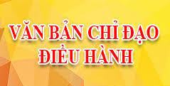 Triển khai kết luận phiên họp thứ nhất của Ban Chỉ đạo tỉnh