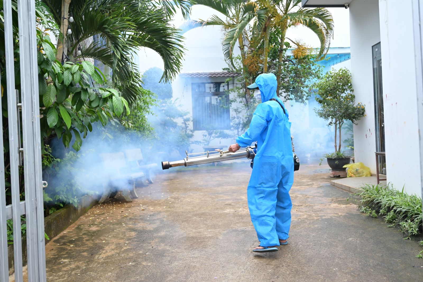 Triển khai thực hiện Công điện của Thủ tướng Chính phủ về phòng chống sốt xuất huyết