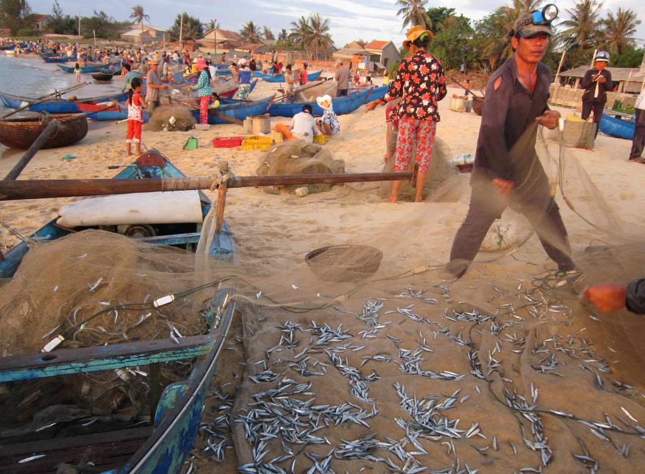 Nhộn nhịp làng chài phía Đông Đắk Lắk