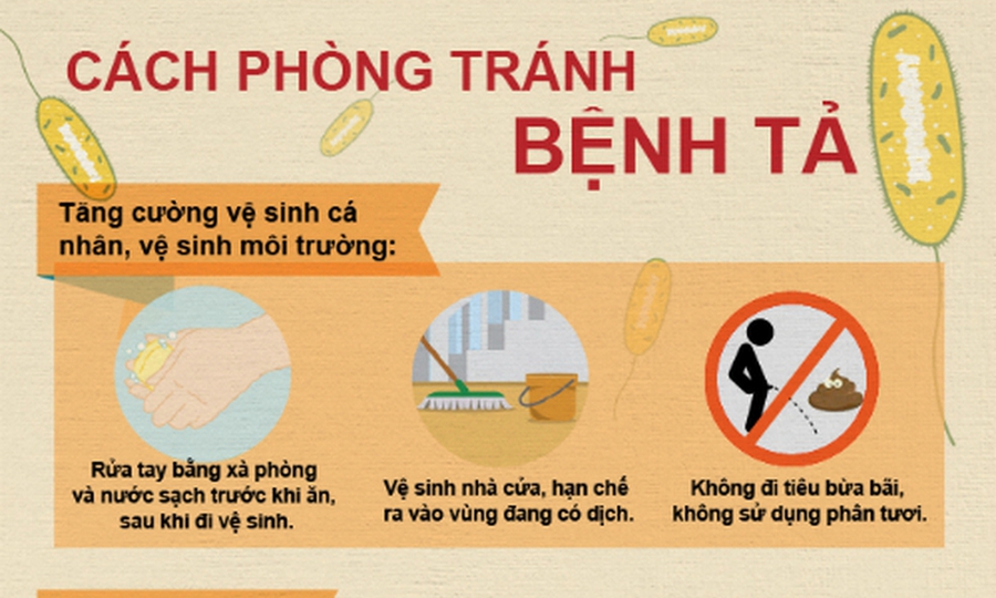 Đắk Lắk tăng cường công tác phòng, chống bệnh tả