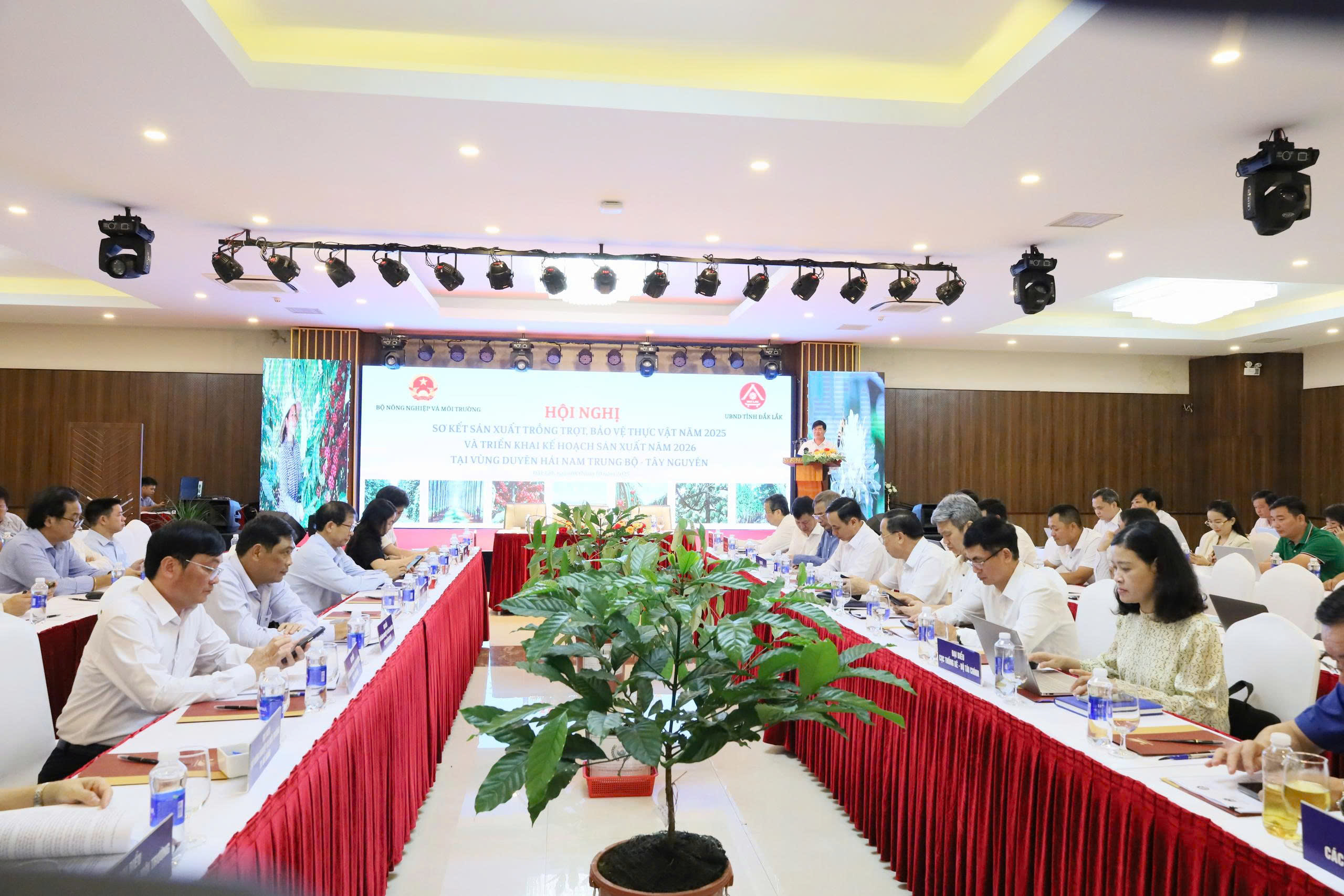 Vùng Duyên hải Nam Trung Bộ – Tây Nguyên cần tập trung kế hoạch sản xuất nông nghiệp theo hướng bền vững