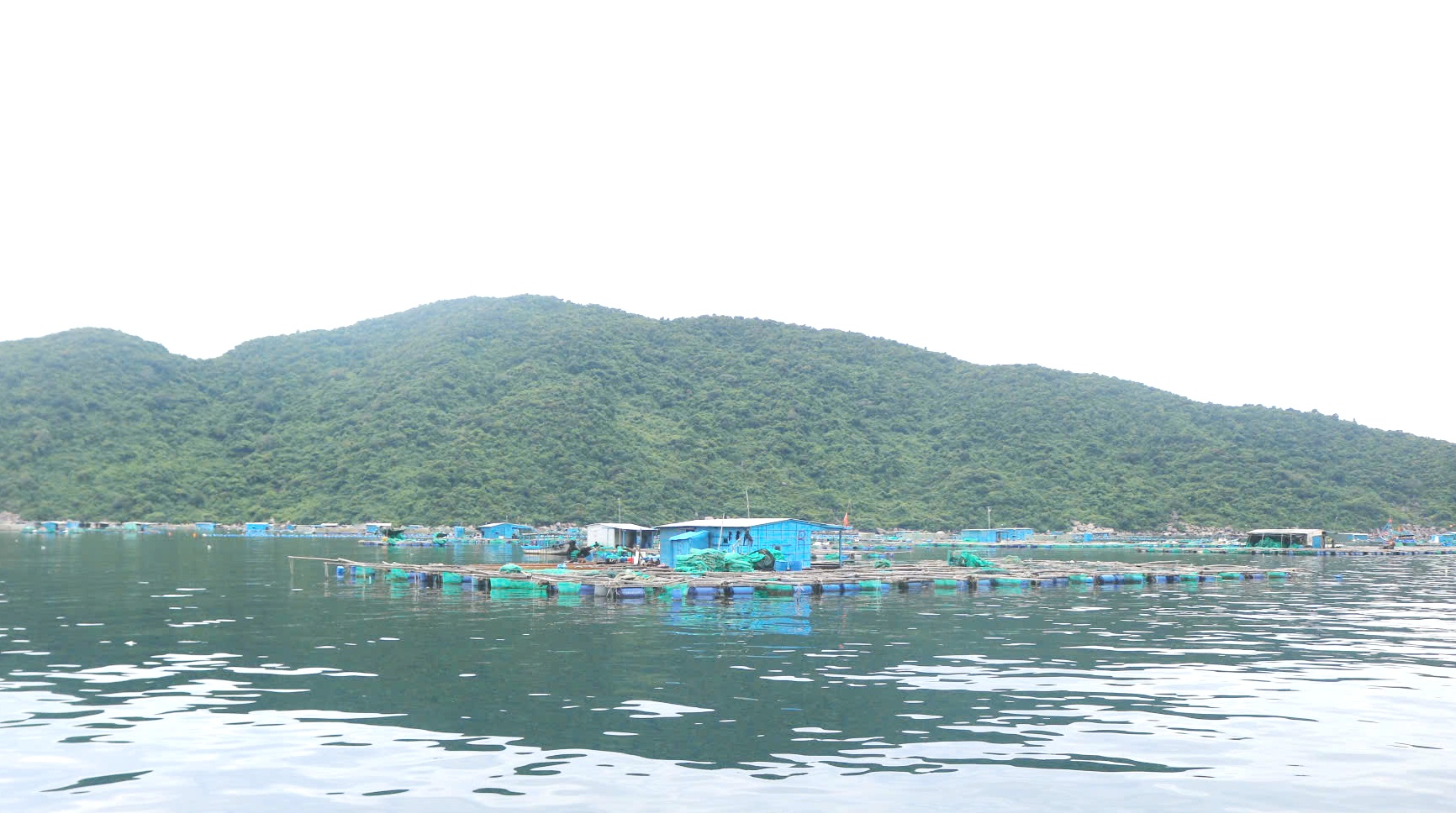 Đắk Lắk quyết liệt sắp xếp lồng bè nuôi trồng thủy sản, hướng tới phát triển bền vững