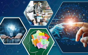 Triển khai Kết luận của Thường trực Ban Chỉ đạo về phát triển khoa học, công nghệ, đổi mới sáng tạo và chuyển đổi số tỉnh Đắk Lắk