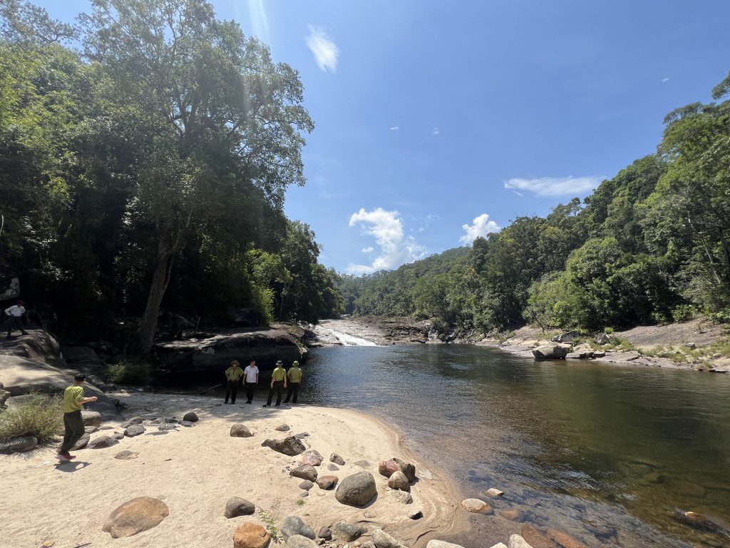 Đắk Lắk tăng cường công tác quản lý Nhà nước đối với các dự án nông lâm nghiệp thực hiện trên đất lâm nghiệp trên địa bàn tỉnh.