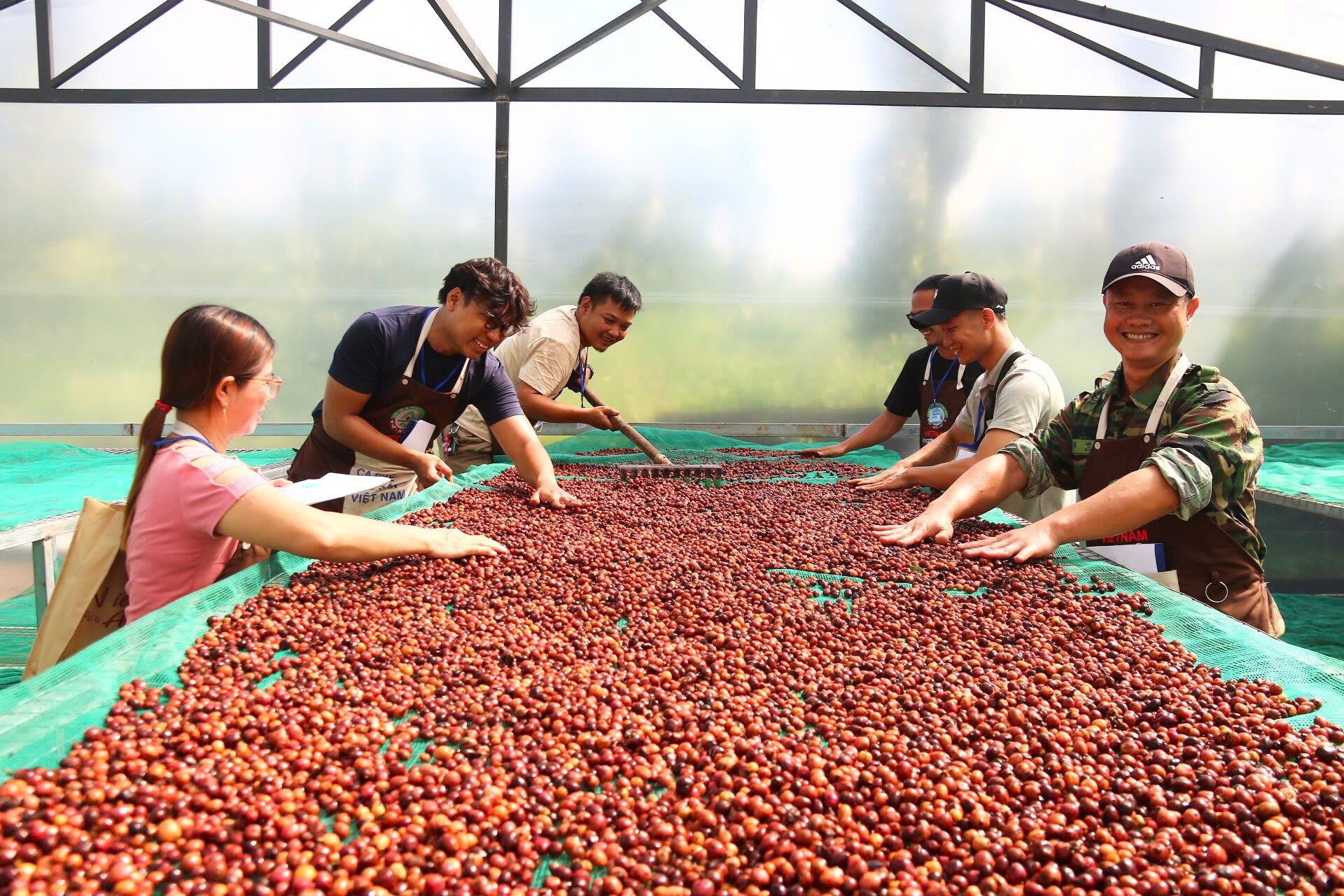 Khai giảng khóa học “Chế biến cà phê nhân chất lượng cao” niên vụ 2025-2026