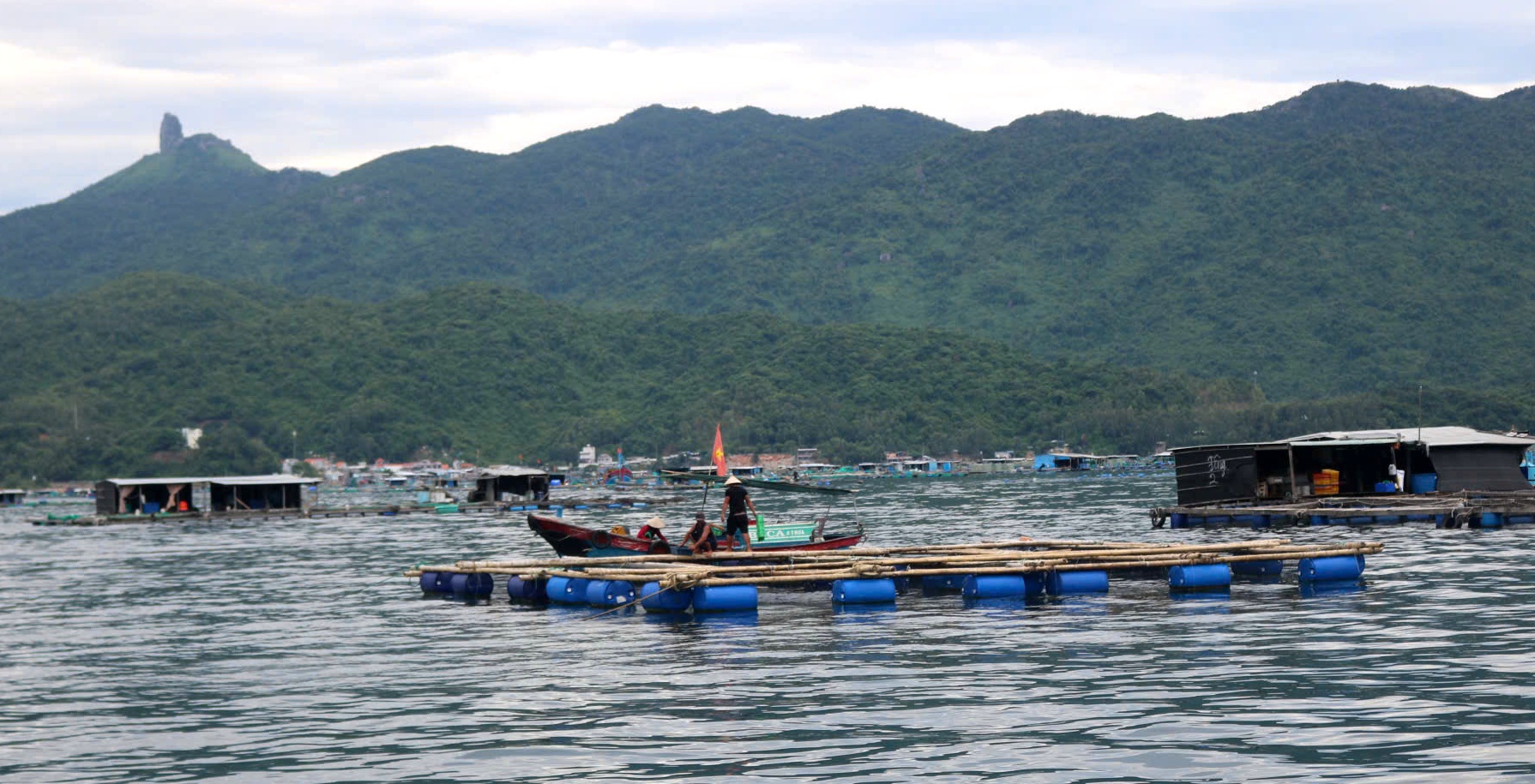 Đắk Lắk ban hành Kế hoạch quan trắc, cảnh báo môi trường tại một số vùng nuôi trồng thủy sản giai đoạn 2026 - 2030