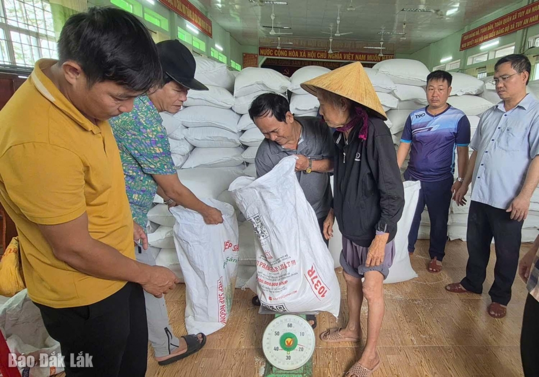 Quyết định về việc phân bổ gạo từ nguồn dự trữ quốc gia để cứu đói cho Nhân dân  tại các địa phương bị ảnh hưởng do thiên tai, lũ lụt (đợt 3)