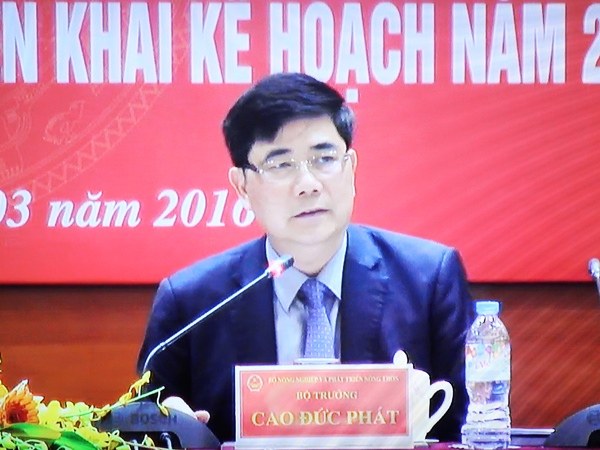 Tổng kết đợt cao điểm hành động vệ sinh an toàn thực phẩm trong lĩnh vực nông nghiệp