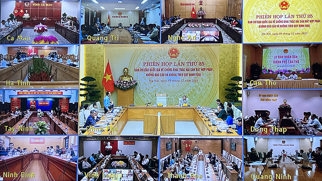 Phiên họp lần thứ 25 Ban Chỉ đạo Quốc gia về chống khai thác hải sản bất hợp pháp, không báo cáo và không theo quy định (IUU)