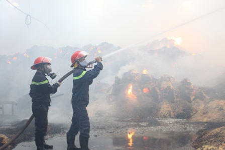Cháy lớn tại Công ty cổ phần Lâm sản Đắk Lắk