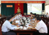 UBND tỉnh làm việc với tập đoàn Hoàng Anh Gia Lai