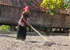 Tây Nguyên: Xử lý nhiều vấn đề cấp bách về kinh tế- xã hội
