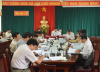 Họp Ban Chỉ đạo thực hiện các dự án chăn nuôi bò sữa, bò thịt trên địa bàn tỉnh
