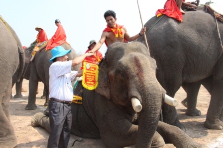 Sôi động voi thi đá bóng, thi chạy.