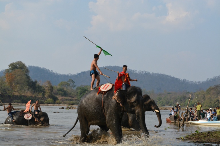 Tưng bừng hội thi voi bơi vượt sông Sêrêpốk.