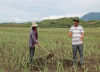 Những tấm gương điển hình tiên tiến trong phong trào thi đua yêu nước của tỉnh giai đoạn 2010 - 2015.