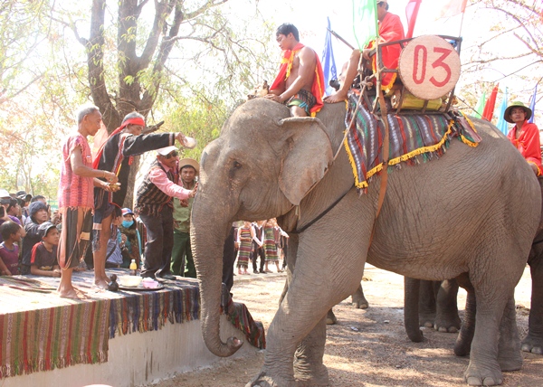 Ceremony on Praying for Elephant’s Health