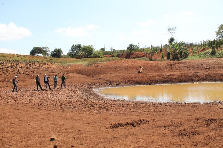 Thiệt hại do hạn hán ước tính khoảng 486 tỷ đồng.