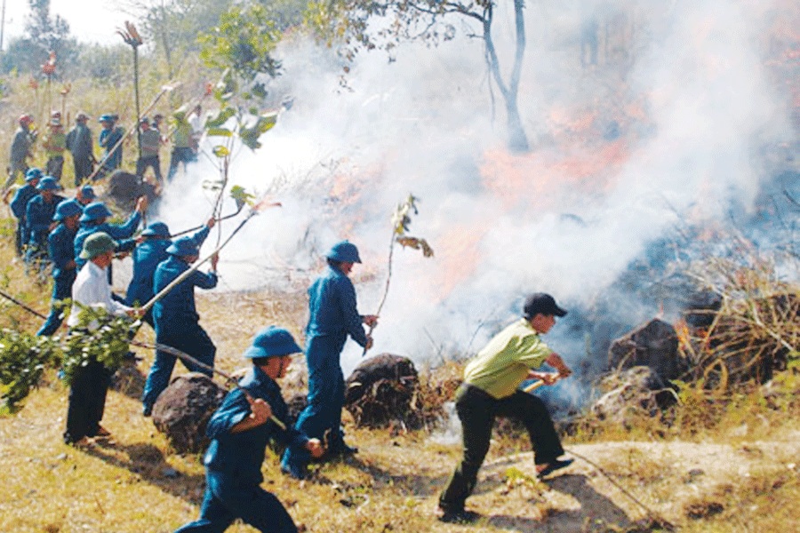 Thủ tướng Chính phủ chỉ thị tăng cường các biện pháp cấp bách phòng cháy, chữa cháy rừng