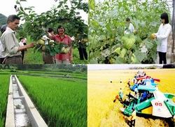 Ban hành Tiêu chí huyện nông thôn mới giai đoạn 2016 - 2020