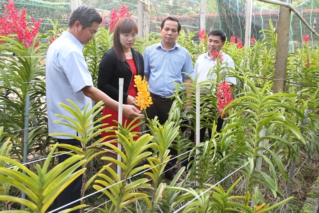 Ứng dụng công nghệ cao – Hướng đi mới trong sản xuất nông nghiệp của tỉnh Đắk Lắk.