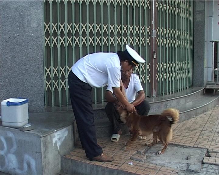 Tăng cường phòng chống bệnh dại động vật trong mùa hè