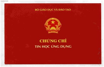 Sử dụng chứng chỉ tin học trong tuyển dụng, nâng ngạch công chức; tuyển dụng, thăng hạng viên chức