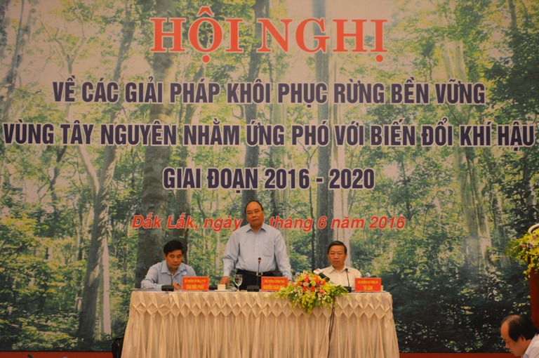 Solutions and mechanisms for reforestation in the Central Highlands