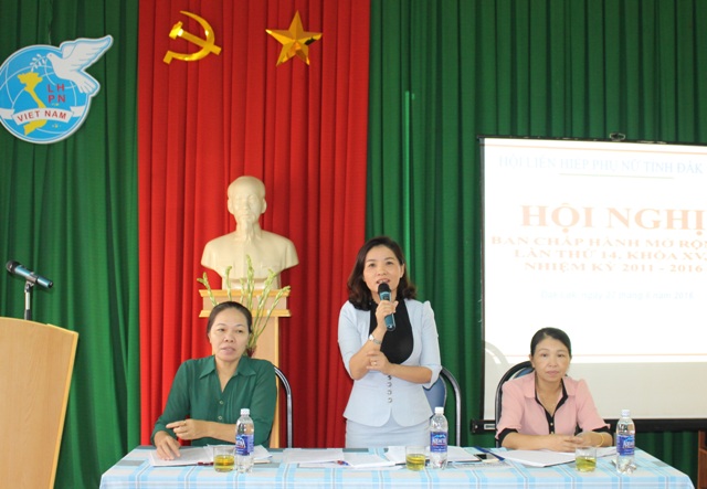 Hội nghị Ban Chấp hành Hội Liên hiệp Phụ nữ tỉnh mở rộng lần thứ 14, khóa XV, nhiệm kỳ 2011 - 2016.