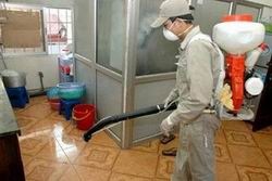 Vi phạm về sử dụng hóa chất diệt côn trùng phạt đến 3 triệu đồng