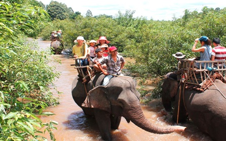 Hỗ trợ phát triển doanh nghiệp ngành du lịch