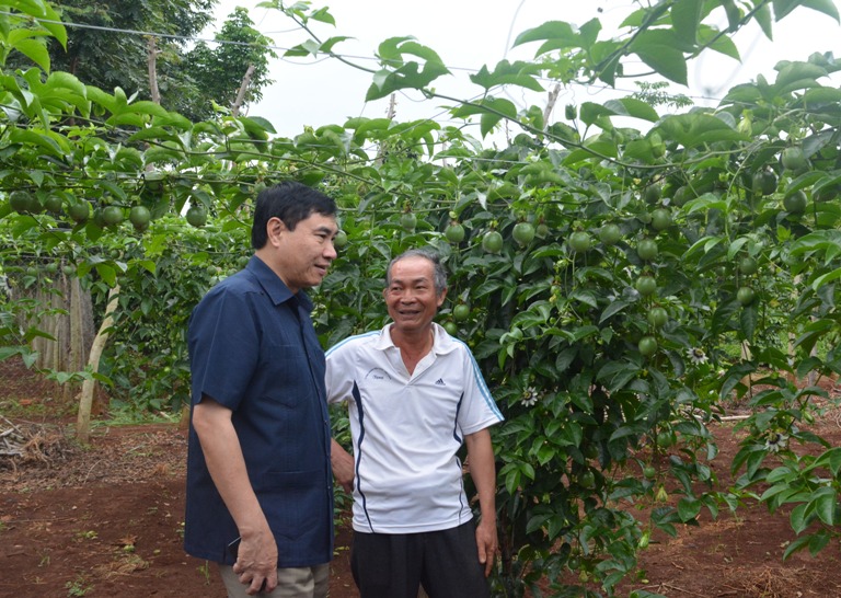 Lãnh đạo tỉnh khảo sát các mô hình nông nghiệp sạch, nông nghiệp ứng dụng công nghệ cao trên địa bàn.