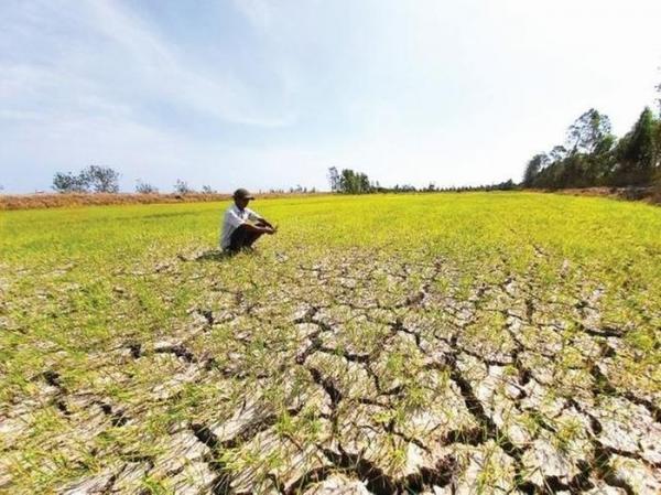 Chủ động triển khai các phương án, giải pháp phòng, chống hạn hán, cháy rừng và xâm nhập mặn năm 2026 trên địa bàn tỉnh Đắk Lắk