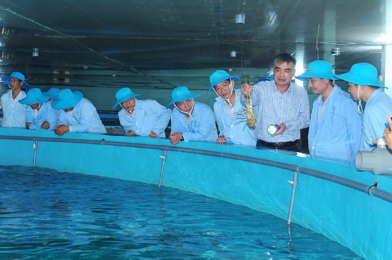 Đắk Lắk tiên phong ứng dụng công nghệ không gian, định hình nông nghiệp số hiện đại