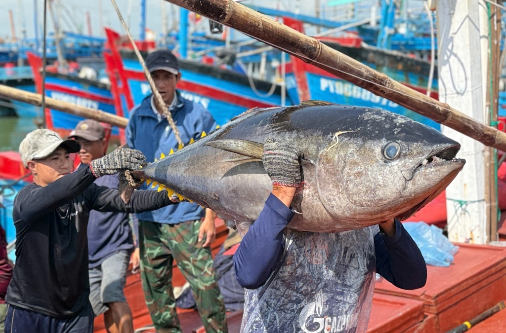 Dak Lak ready for the European Commission's fifth inspection