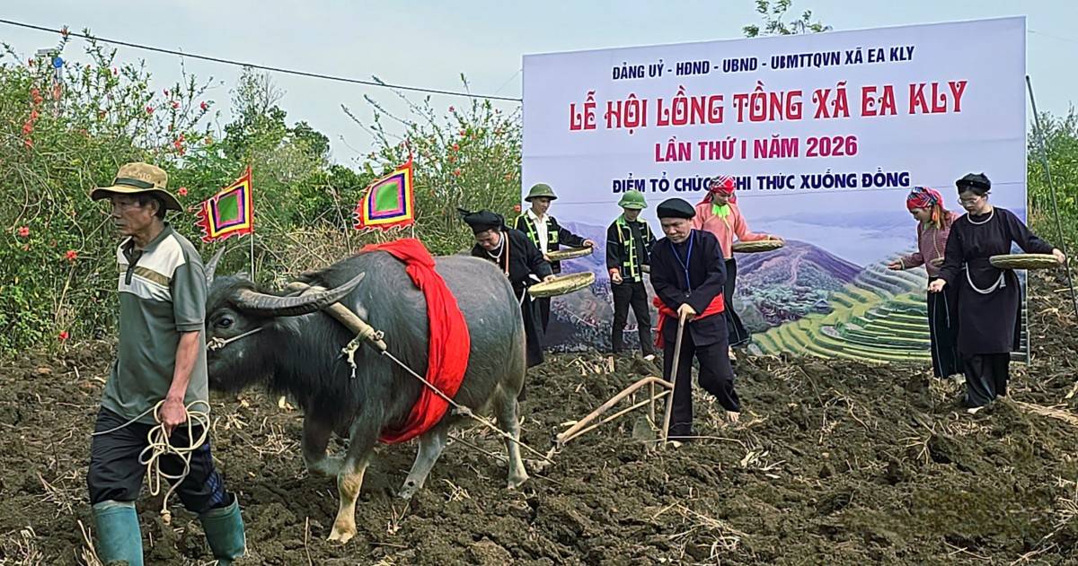 Sôi nổi các hoạt động văn hóa, thể thao tại Lễ hội Lồng Tồng xã Ea Kly lần thứ I năm 2026