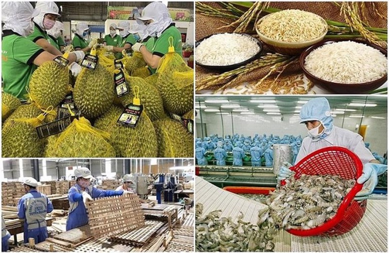 Đắk Lắk ban hành Kế hoạch bảo đảm an toàn thực phẩm, phát triển thị trường nông lâm thủy sản năm 2026